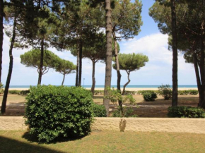 Argelès-sur-Mer - T2 - Pieds dans l'eau - Tout confort - FR-1-309-343